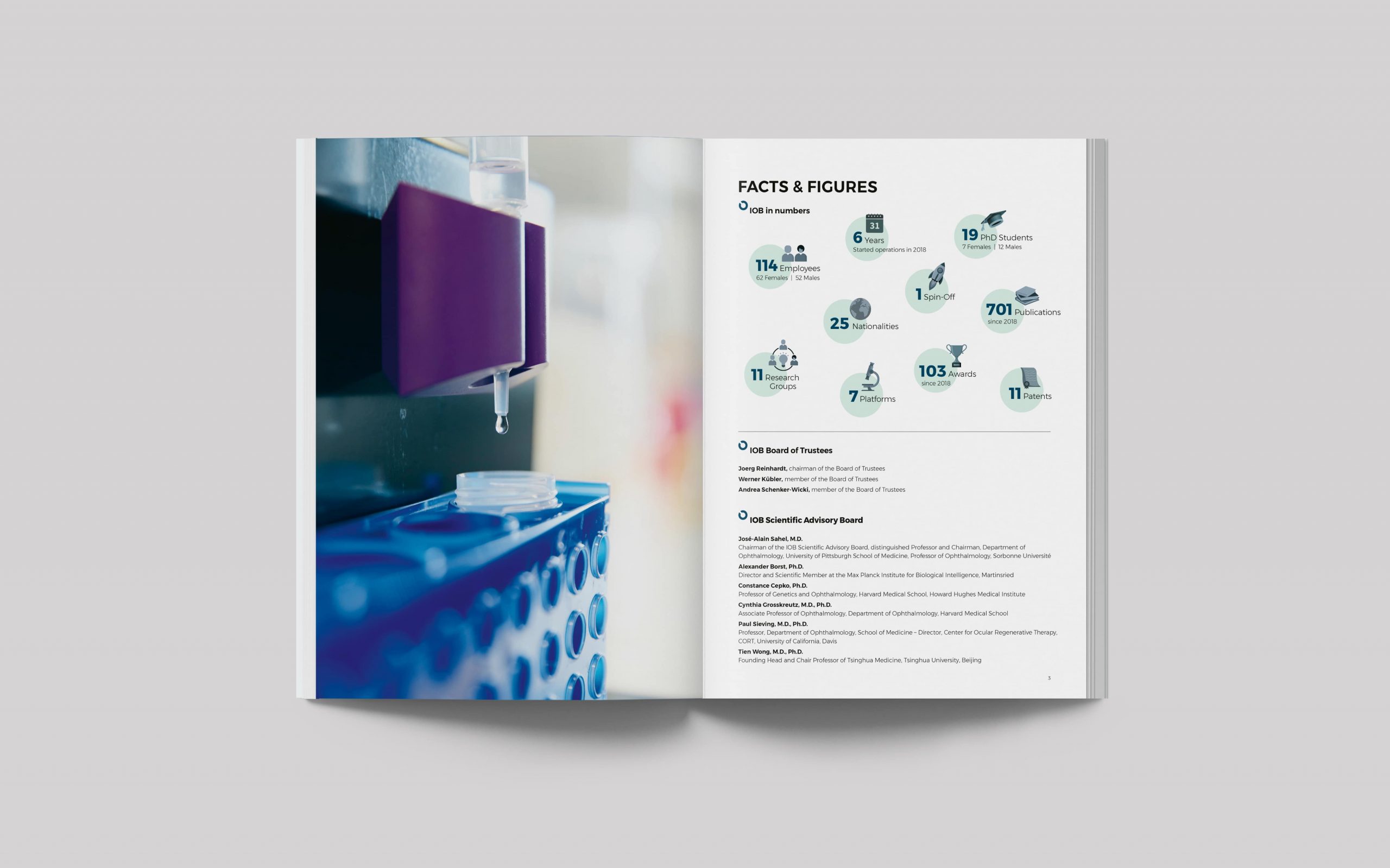 IOB_Annual_Report_2024_IN1