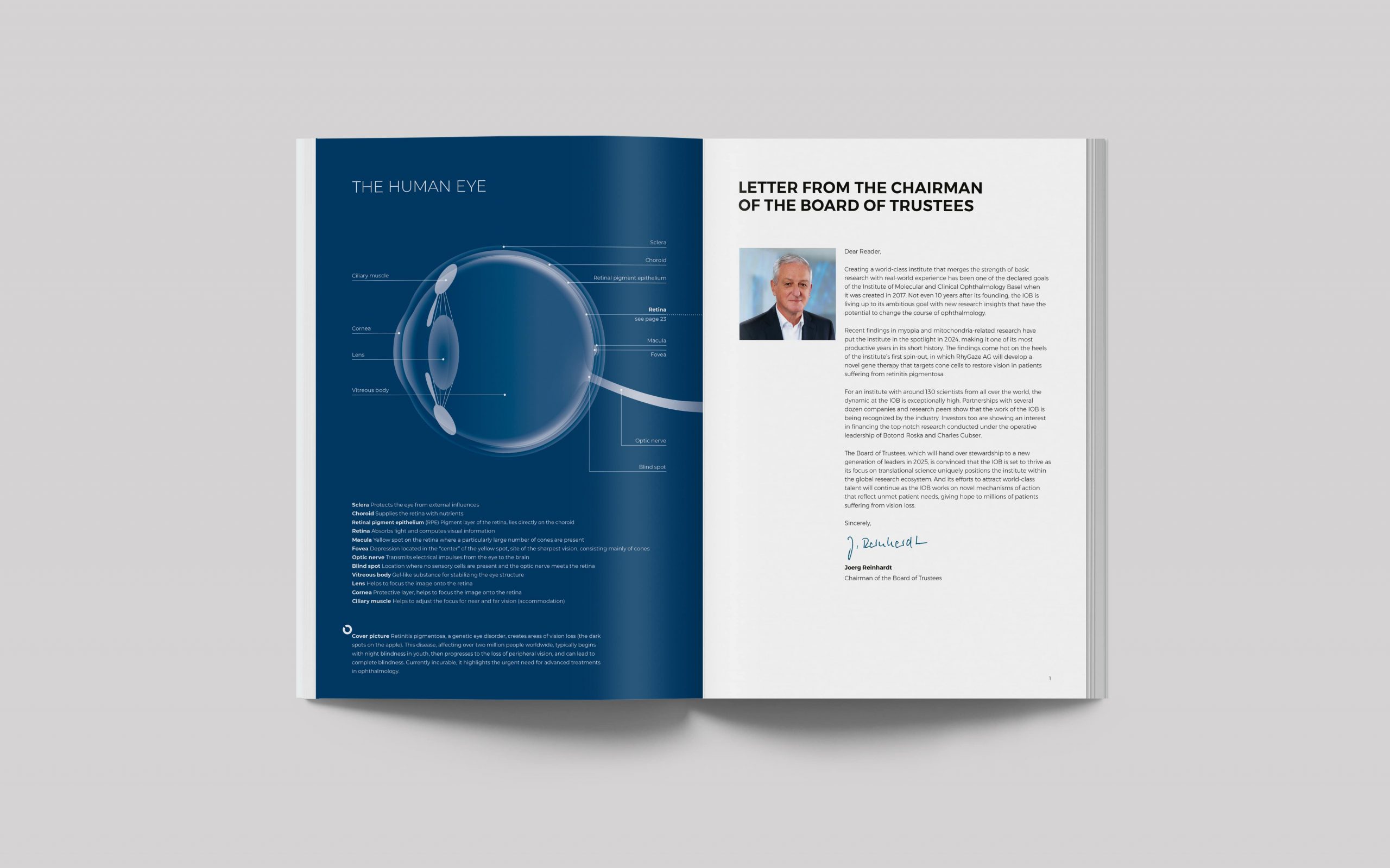 IOB_Annual_Report_2024_IN2